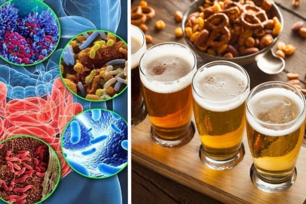Вчені встановили, що світле пиво дуже корисне мікрофлори кишечника.